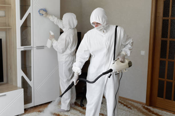 Best Commercial Mold Removal  in Rainbow Springs, FL